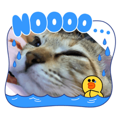 abcdefg_20210815190938