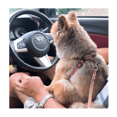 seira_20210815193019