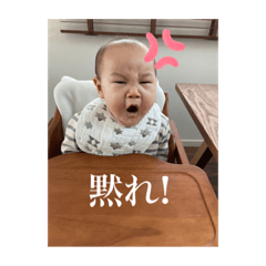 nobo_20210814224325