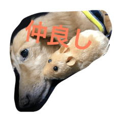 Muku&riku  2