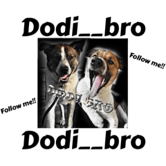 Dodi__bro twins puppy
