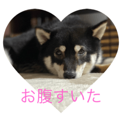 tono_20210815205019