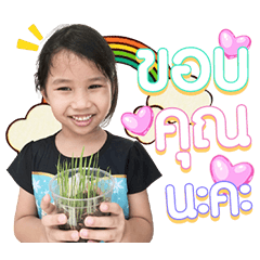 Nong Face Za