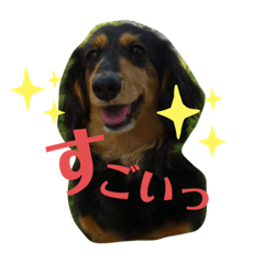 chie_20210815225458