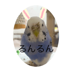 Emily_20210815234135