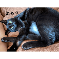 hana_20210815171058