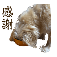 aoi_20210815173547