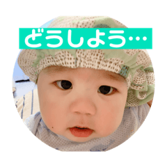 tonton_0816