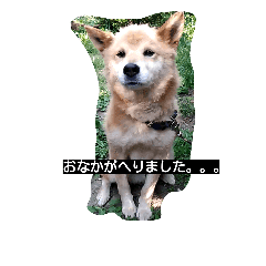 犬のつぶやき Line スタンプ Line Store