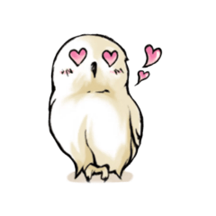 joooghha