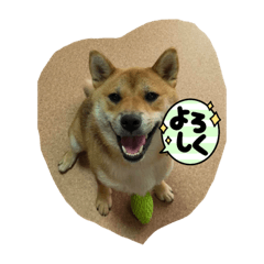 hanamama_20210815194221