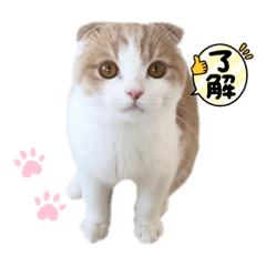 suzu_20210815195430