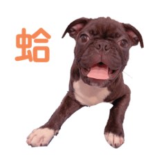 熊熊的無憂無慮日常★第三彈☆