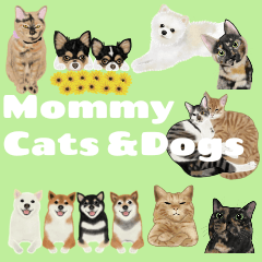 Mommy cats and dogs