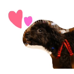 stickers of ponzu