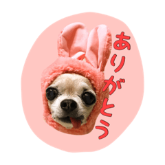 ruby sticker 2