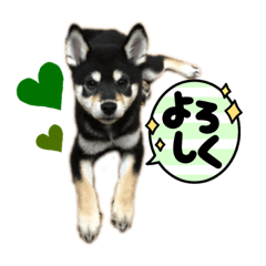 suzu_20210815224956
