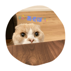 asako_20210815231552