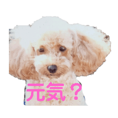 HANA_20210815230517