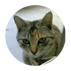 ryuki_20210815202147