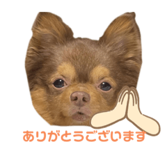 Kaori_20210816003306