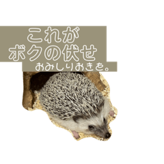 rina_20210815234839