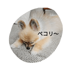 mizuki_20210815203531