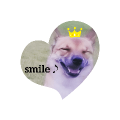 tomomi_20210816132010