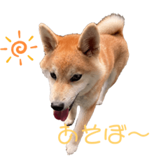 Arisa_20210815212110