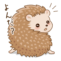 Cute Little Hedgehogs