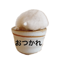 yun_20210816105946