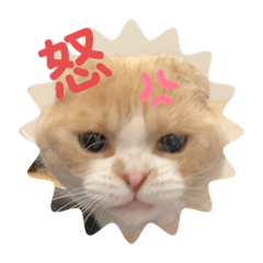 asako_20210816141253