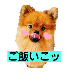yuka_20210810235323