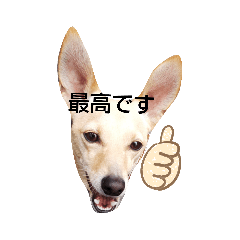 tomomi_20210816170134