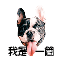 Black spot French Bulldog 1.0