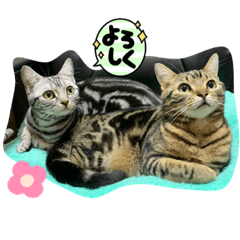 Tomomi_20210816180142