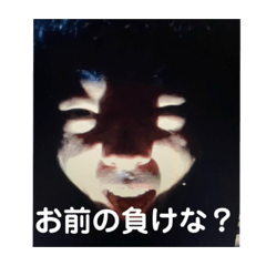 tori_20210816180932