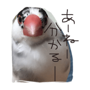 TAHARAnoTORI