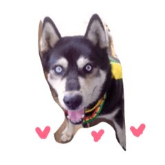 Gonkichi