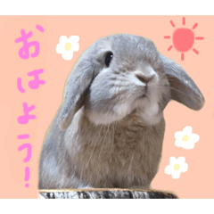 risa_20210816183054
