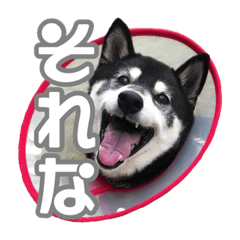 My sister's name is Maro.