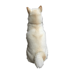 ayumi_20210816202032