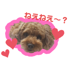 mimi_20210816233421
