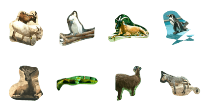 animal*lalala