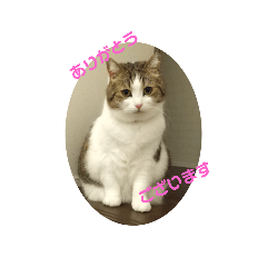 Tomomi_20210817000955