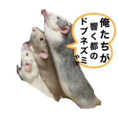 akiko_20210817030839