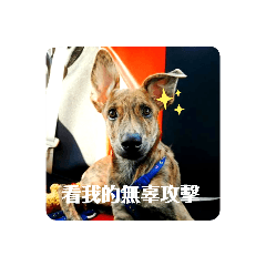 雷夢的生活日常