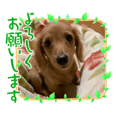 miki_20210812113256