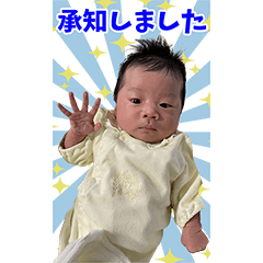 TAISEI--Sticker