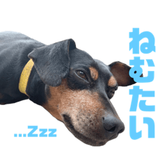 furu1983_20210816210641